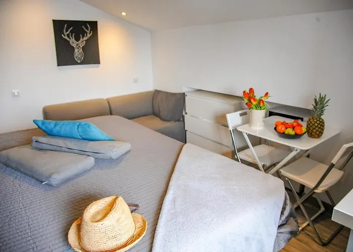 Aparthotel Les Du Pecheur - Hypercentre - Clim - Trip 3*