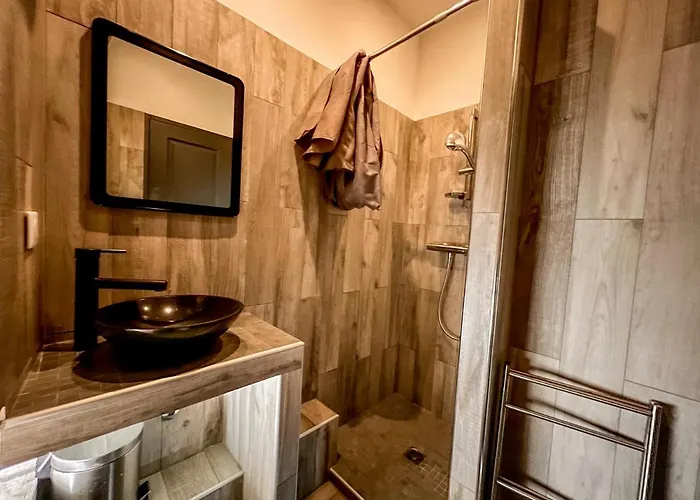 Les Du Pecheur - Hypercentre - Clim - Trip Aparthotel