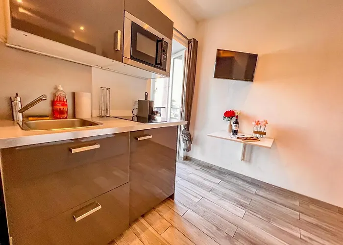 Aparthotel Les Du Pecheur - Hypercentre - Clim - Trip Ajaccio (Corsica)