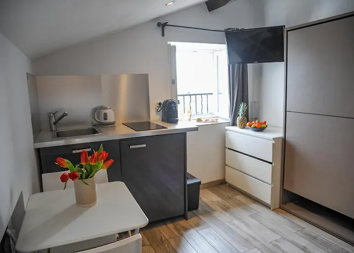 Les Du Pecheur - Hypercentre - Clim - Trip Aparthotel 3*