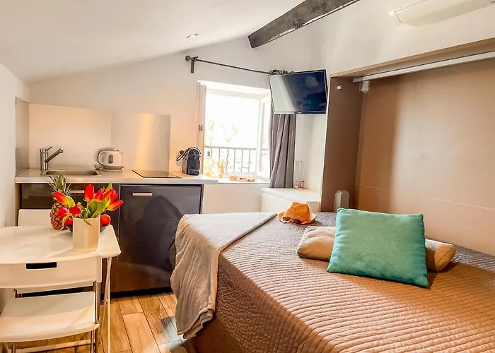 Les Du Pecheur - Hypercentre - Clim - Trip