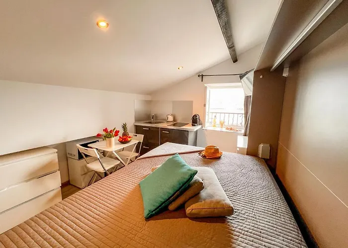 Aparthotel Les Du Pecheur - Hypercentre - Clim - Trip Ajaccio (Corsica)