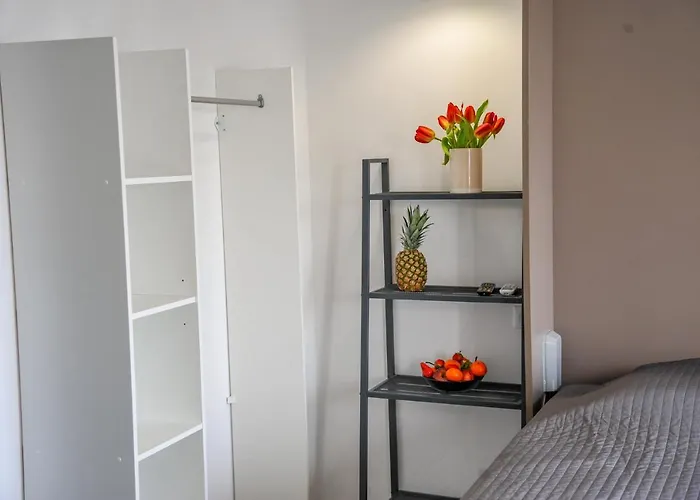 Les Du Pecheur - Hypercentre - Clim - Trip Aparthotel