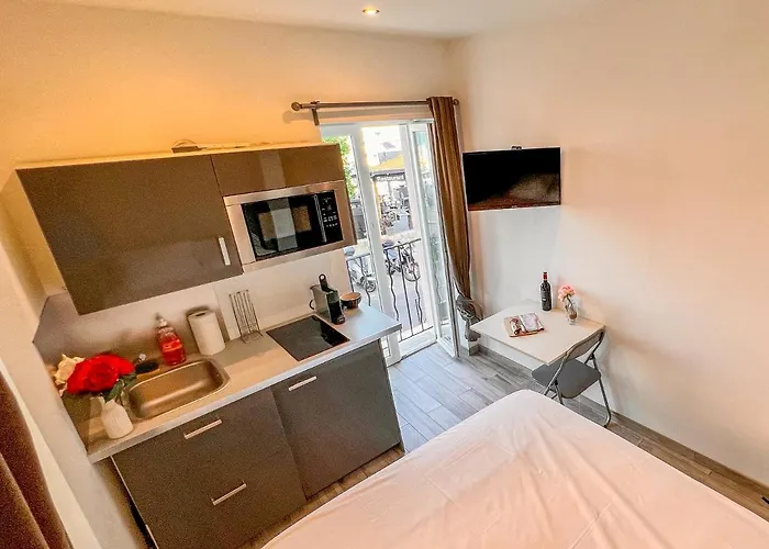 Aparthotel Les Du Pecheur - Hypercentre - Clim - Trip 3*