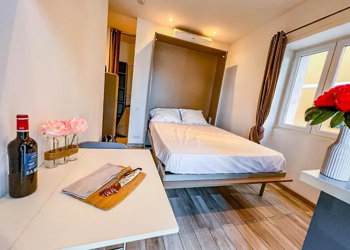 Les Du Pecheur - Hypercentre - Clim - Trip Aparthotel